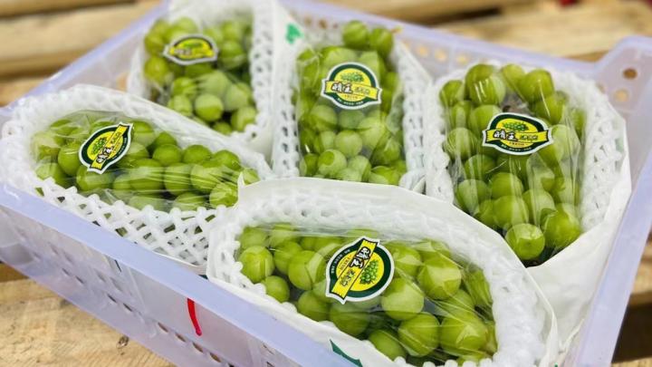 水果店开业抽奖活动礼品文案,水果店开业转发朋友圈活动方案