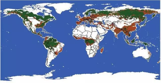漂白纸与本色纸的区别,本色纸是什么颜色的纸
