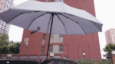 天堂伞质量排名第一名,天堂伞质量排名第一