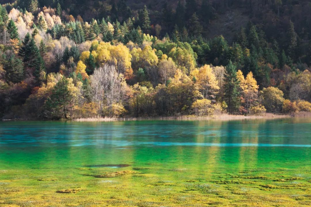 2017年九寨沟地震预兆,地震前的九寨沟人间仙境