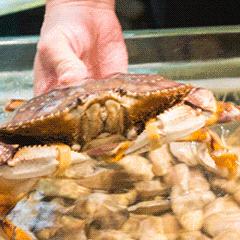 有一种炫富叫青岛开海,有一种炫富叫青岛开海了