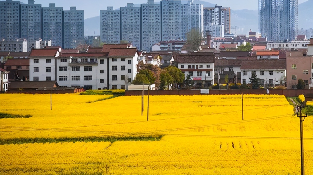汉中谁的信鸽最好,绵阳和汉中谁的气候好