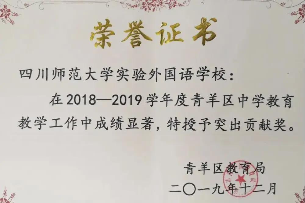 师大实外国际部,师大实外简介