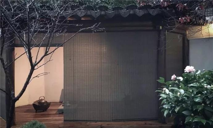 她虽大龄剩女，却是名副其实的女强人和近代女性意识觉醒的先行者