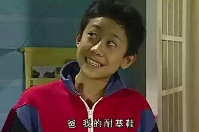 家有儿女刘星家到底是多有钱,家有儿女刘星家究竟多有钱