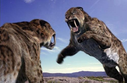 曾经位居食物链顶端,冰河时代过去后,却被活活饿死