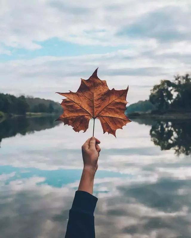 广东的秋天摄影,如何拍秋天风景照片