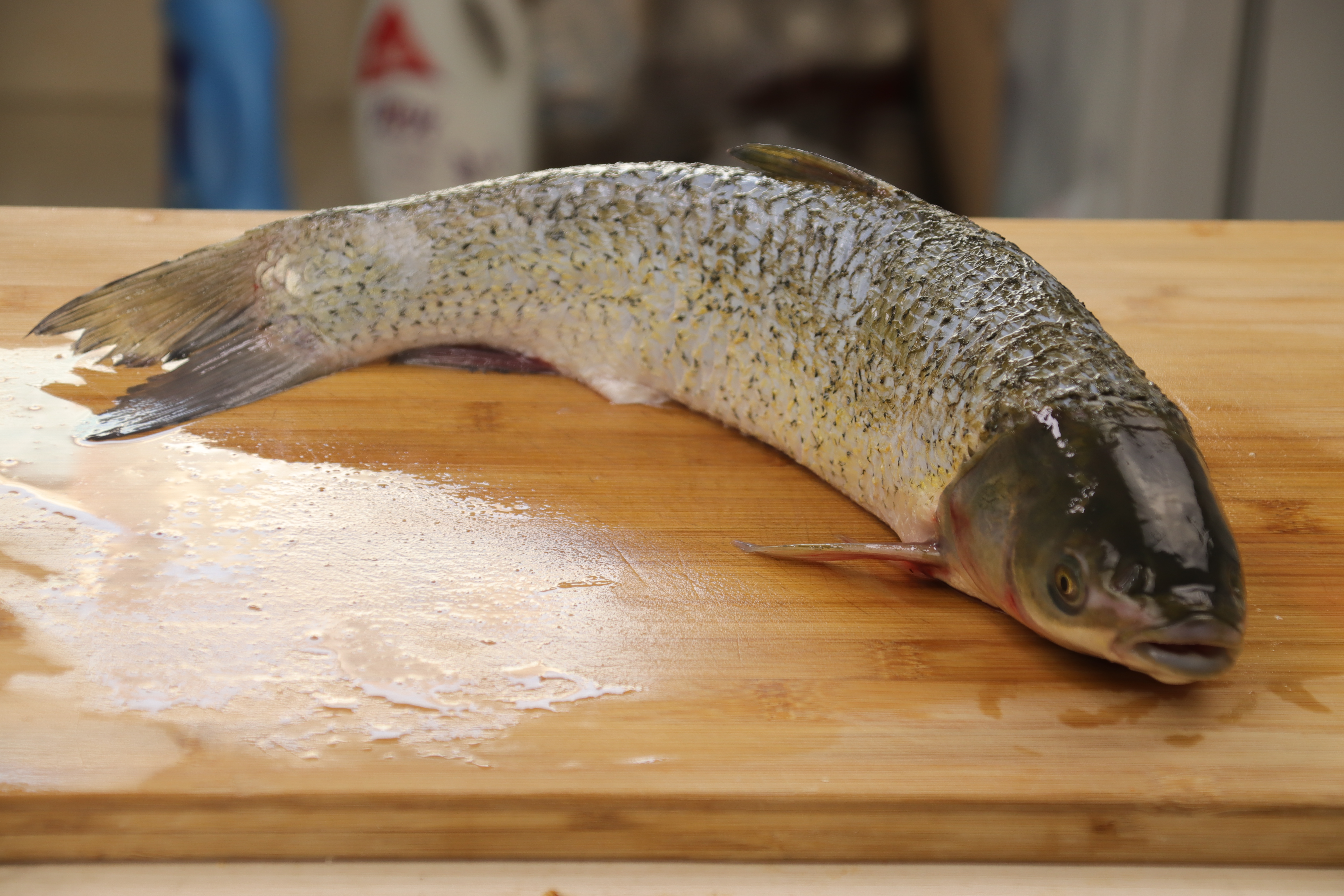 清蒸鱼正确做法用老抽还是生抽好,清蒸鱼怎么避免腥味