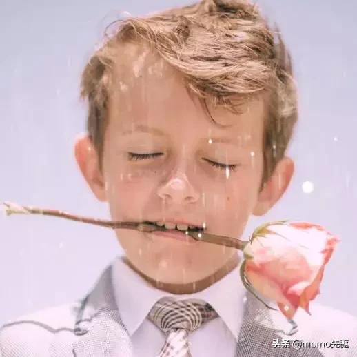 先驱膜工厂汽车贴膜,武汉先驱膜工场汽车贴膜