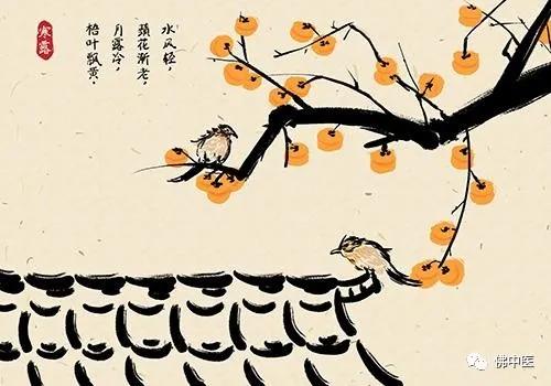 寒露后，这样养生更妙——鸡西市中医院专家提