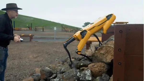 53万元的网红机器狗开售，居然还搞限购