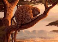 不想变瘦只想变紧致,不想变胖只想暴富