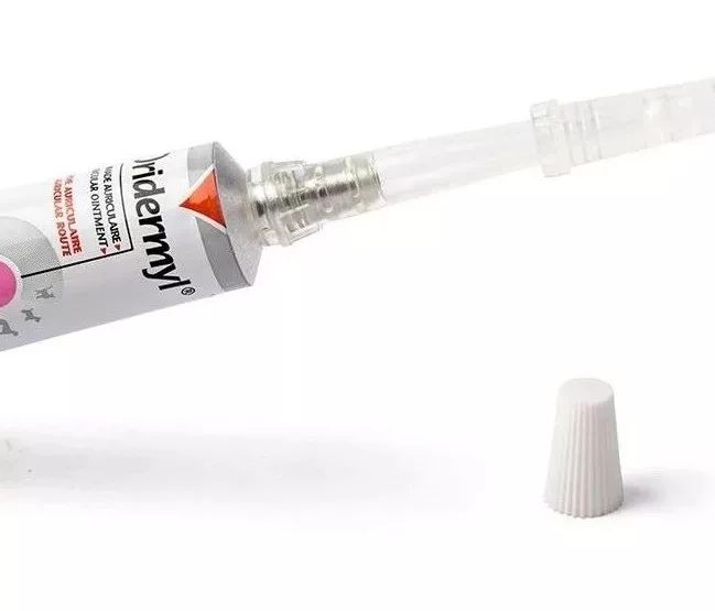 如何给猫咪清理耳螨硼酸,猫咪长耳螨用什么清洗