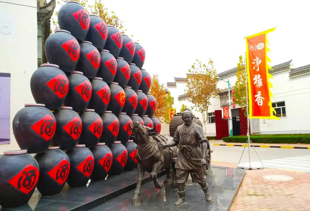 泥坑酒净雅香,泥坑酒净雅香55度