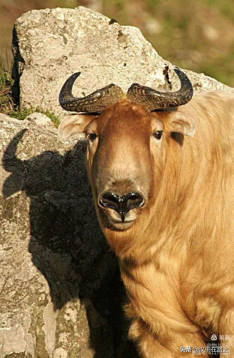 汉中户外遛娃好去处排行榜,汉中遛娃旅游景点有哪些