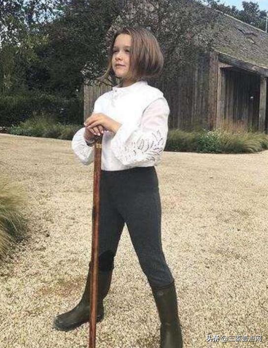 贝克汉姆回应小七现状,小贝之前的事情真相