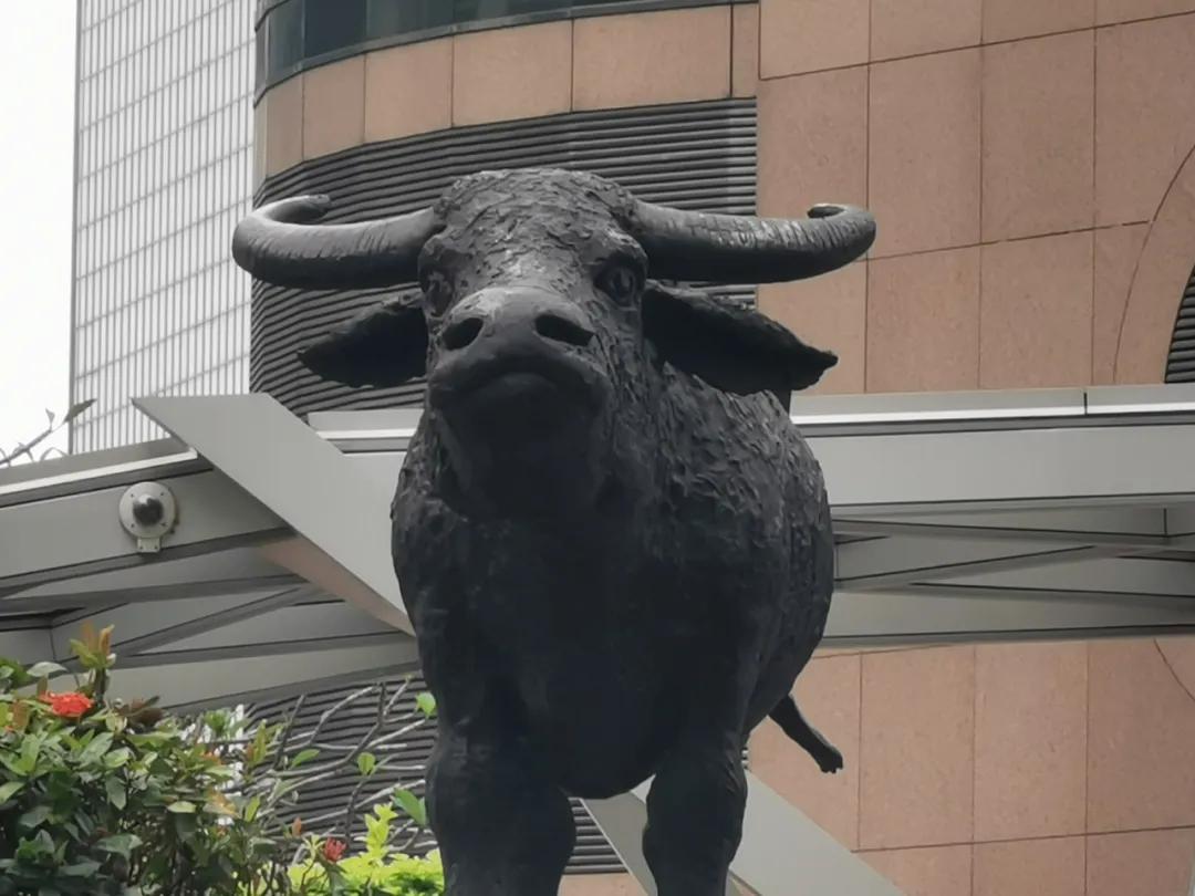 香港ipo和内地的区别,香港ipo如何定价