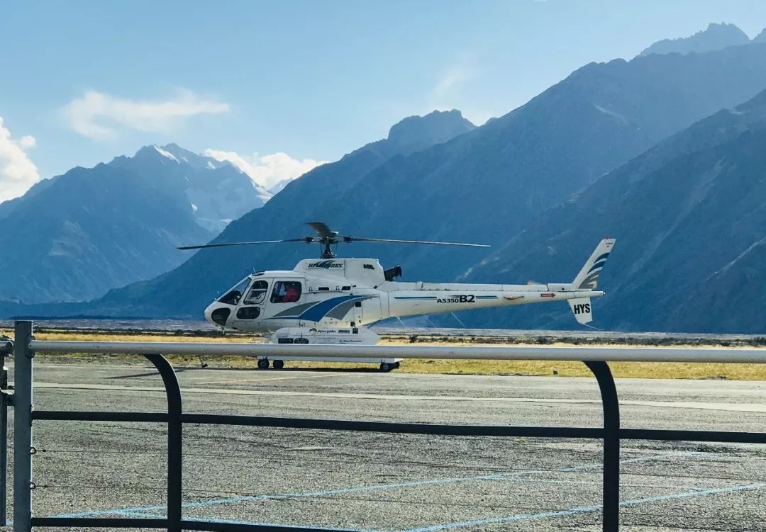 新西兰旅游必备大牌礼物,新西兰旅行攻略完整详细版