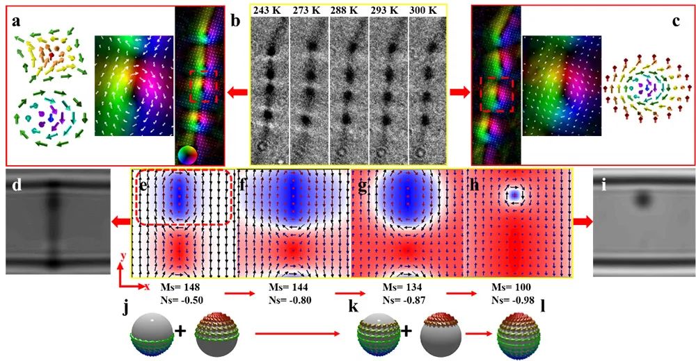 进展｜磁畴壁拓扑结构在实验上的发现与调控