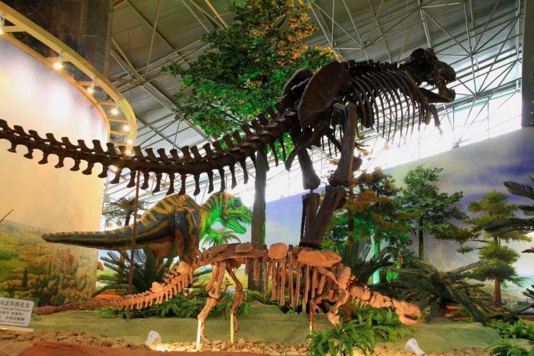 黑龙江五一去哪里玩适合自驾游,黑龙江五一游玩好去处