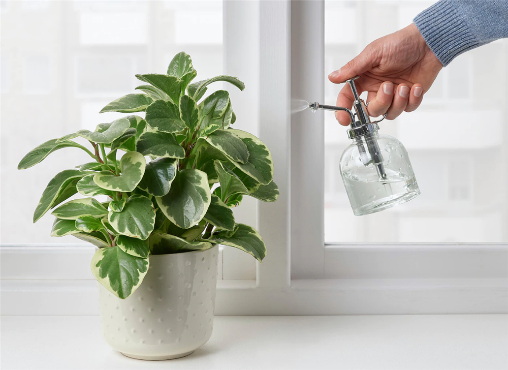 宜家家居值得买的小物 (宜家家居必买的20种草)