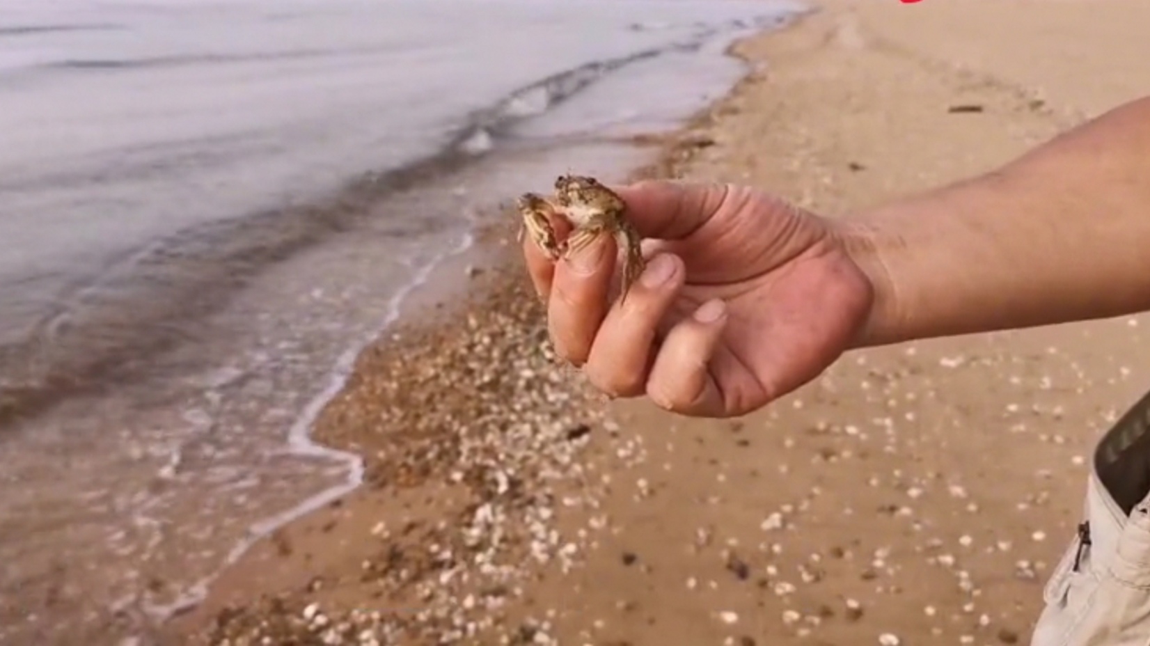 山海关站离东戴河有多远,东戴河海边能看日出吗