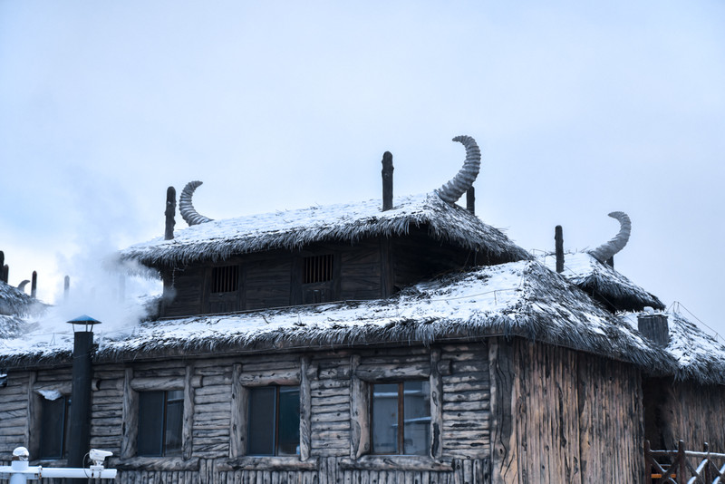 冰雪总动员简介,冰雪总动员