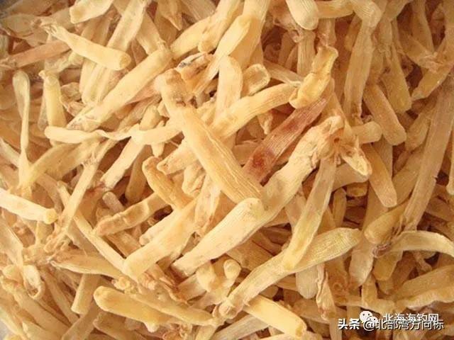 北海市区有哪些好耍和好吃的,广西北海周边好吃好玩的农家乐