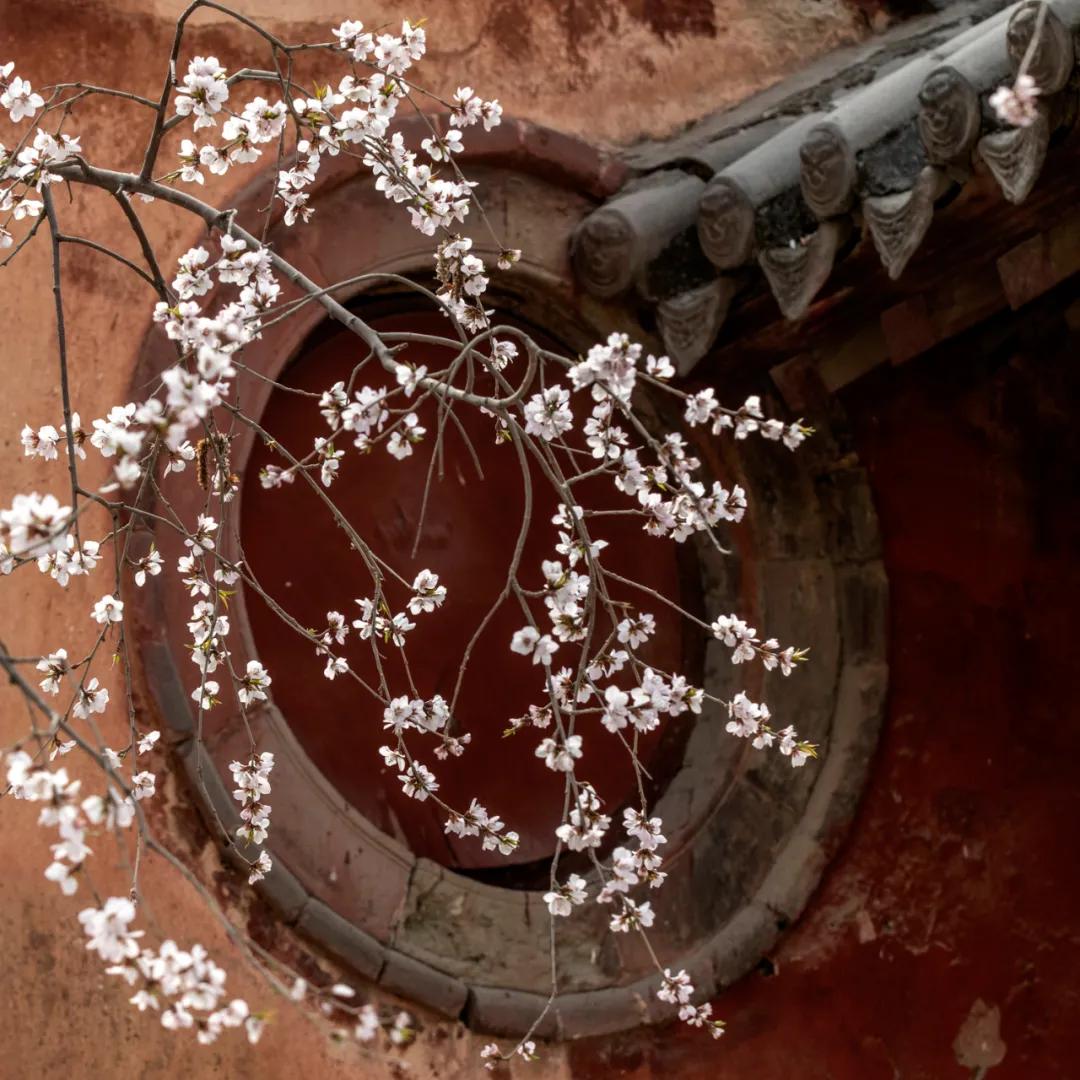 香港第14届全国摄影艺术展,第29届全国摄影艺术展览获奖名单