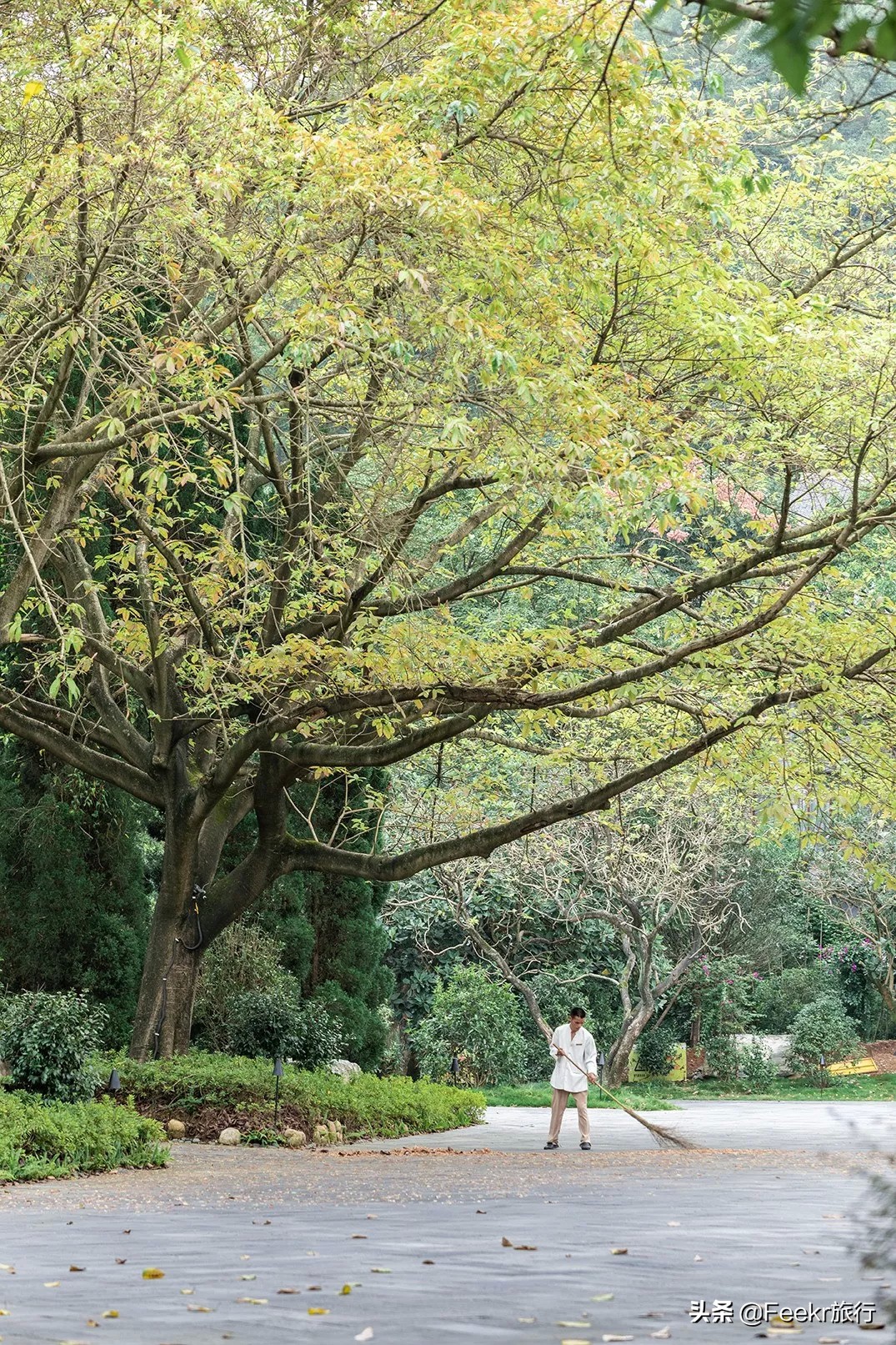 <html>
<head><title>502BadGateway</title></head>
<body>
<center><h1>502BadGateway</h1></center>
<hr><center>nginx</center>
</body>
</html>
<!--apaddingtodisableMSIEandChromefriendlyerrorpage-->
<!--apaddingtodisableMSIEandChromefriendlyerrorpage-->
<!--apaddingtodisableMSIEandChromefriendlyerrorpage-->
<!--apaddingtodisableMSIEandChromefriendlyerrorpage-->
<!--apaddingtodisableMSIEandChromefriendlyerrorpage-->
<!--apaddingtodisableMSIEandChromefriendlyerrorpage-->
