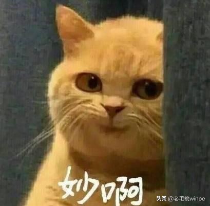 涓夊勾涓嶅崱椤跨殑绯荤粺,鑳界敤涓夊勾涓嶅崱椤跨殑绯荤粺