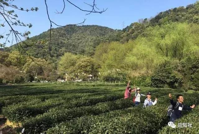 宁波踏青好去处自驾,宁波周边免费踏青爬山