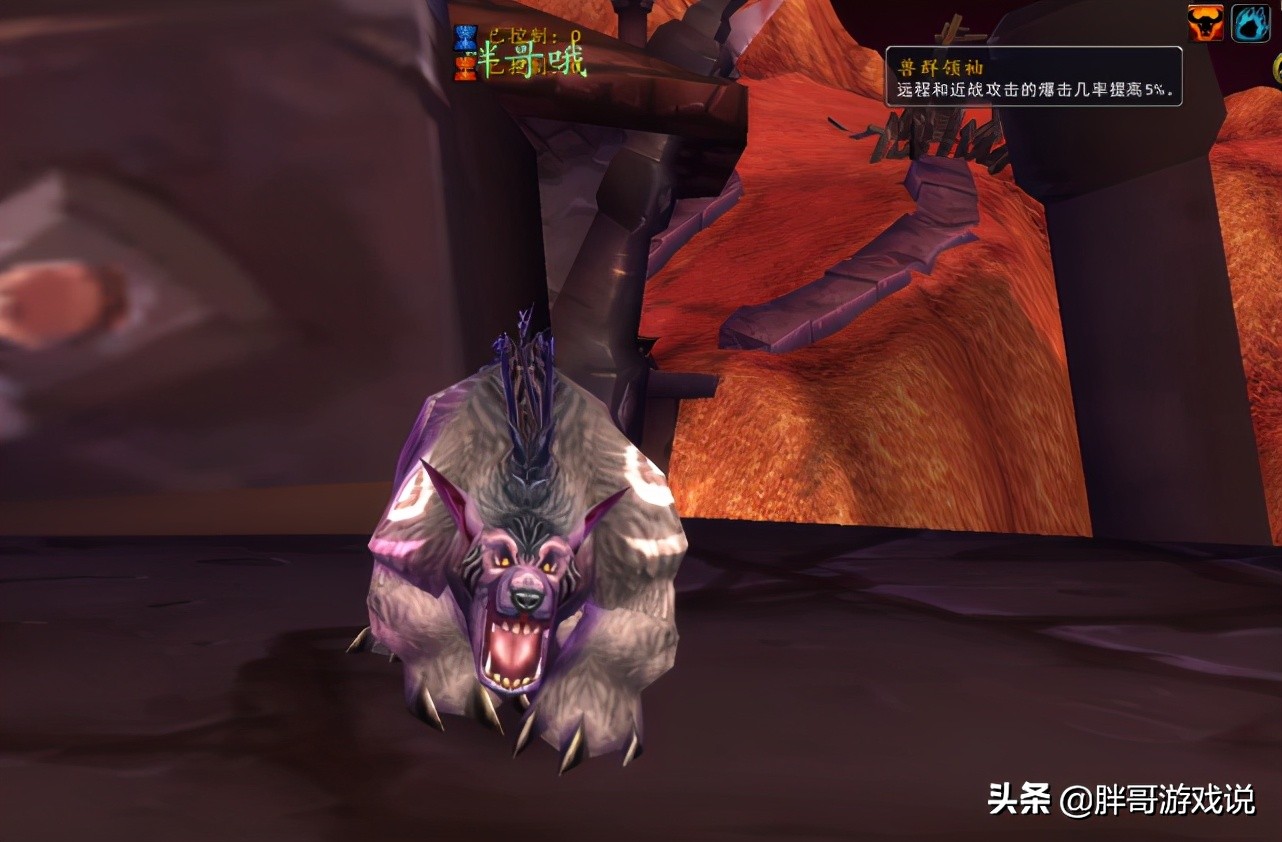 魔兽怀旧服tbc鸟德高分攻略,魔兽怀旧服tbc德鲁伊天赋