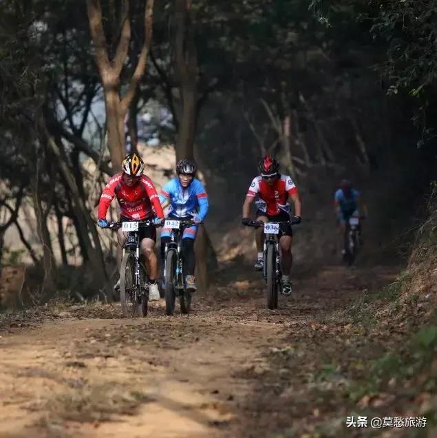 南京怪坡风景区,江宁怪坡风景区