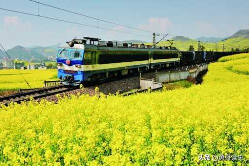 云南八大怪一道菜,云南十八怪三个蚊子一盘菜是什么