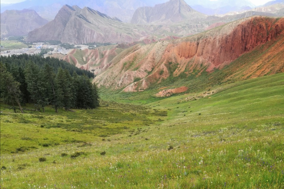 青甘大环线高反,旅游青甘大环线