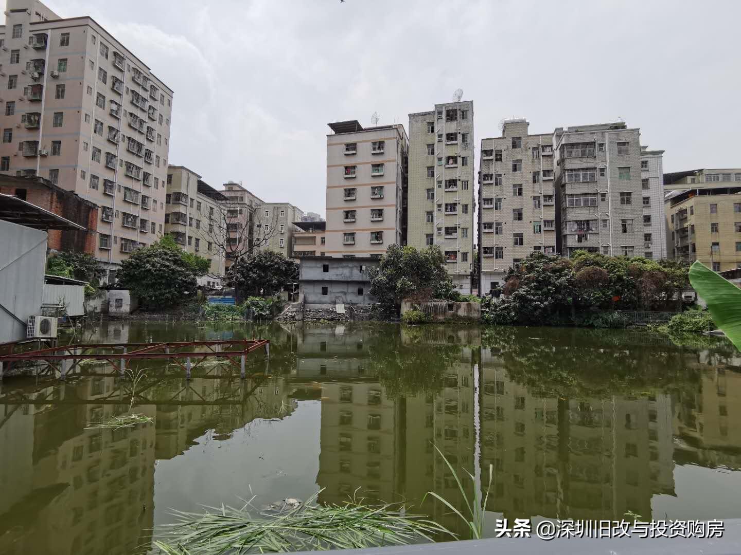 龙华观澜黎光旧村更新,绿景观澜黎光旧改进度