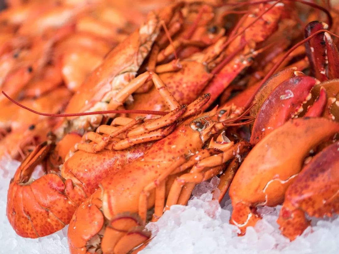 广州航空母舰自助餐图片,广州五星级酒店自助餐多少钱