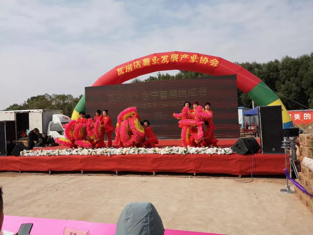 瓦房店地瓜价格,瓦房店地瓜几月份成熟