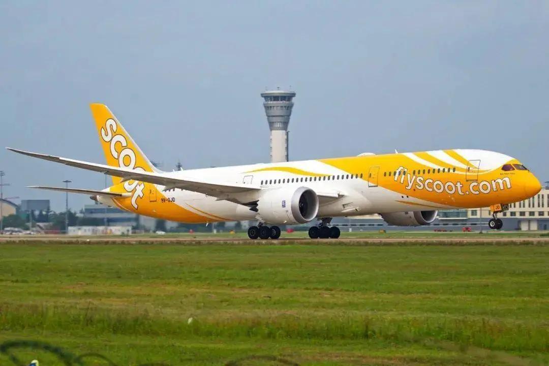 用生命在回家：“困死”在归国政策，从新加坡回国好难