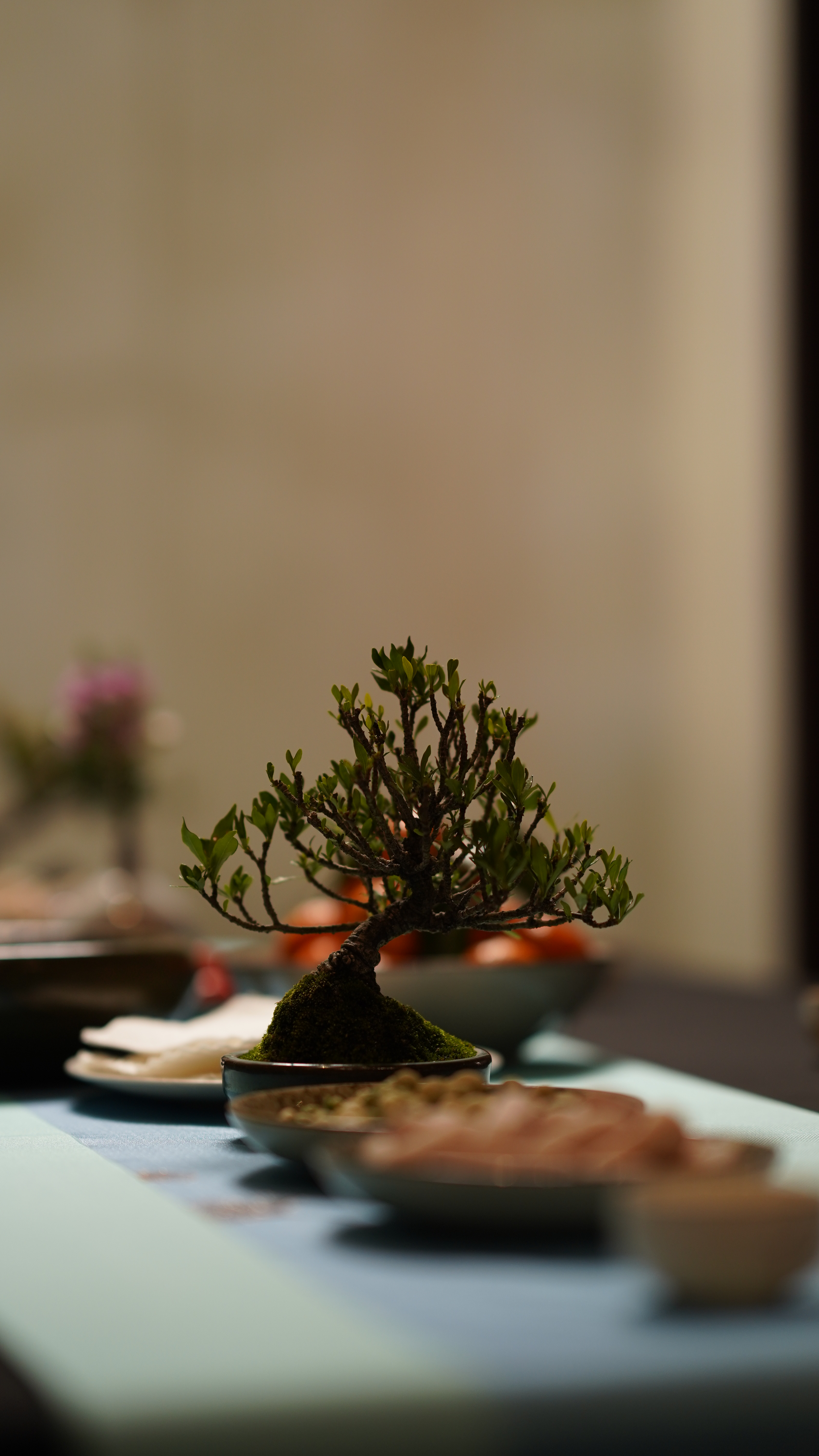 西湖景色最美民宿,西湖边吴山民宿