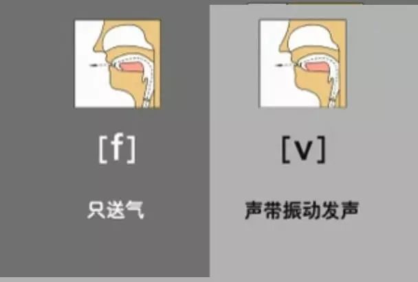 英语音标发音表48个音标正确读法,英语干货48个音标快速记忆法下