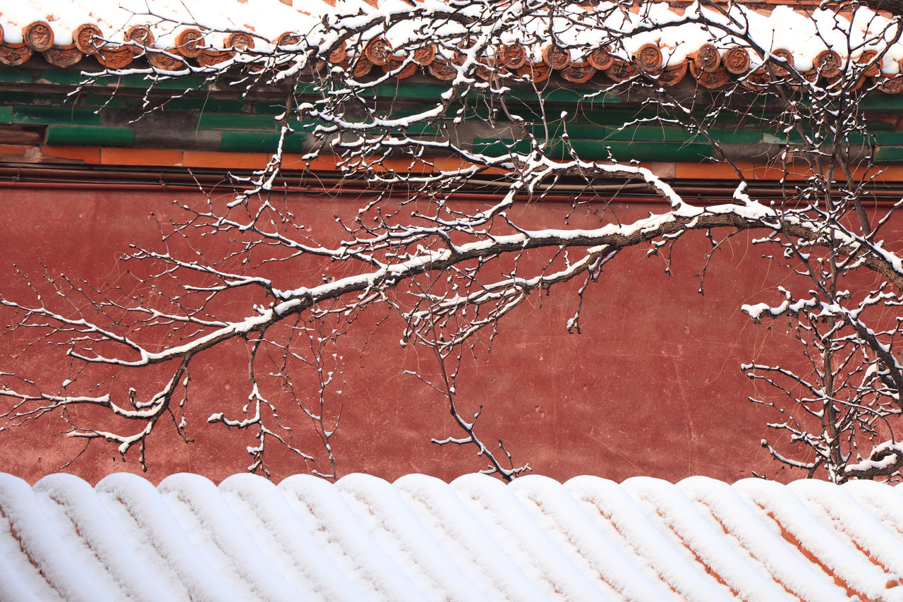 当三观不一致就会渐行渐远,当三观发生冲突时一定要向下兼容