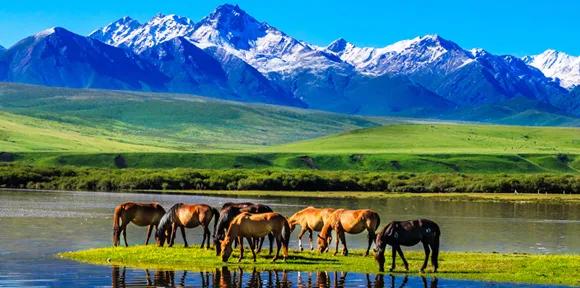 山丹军马场世界第一大军马场,山丹军马场适宜养马的原因