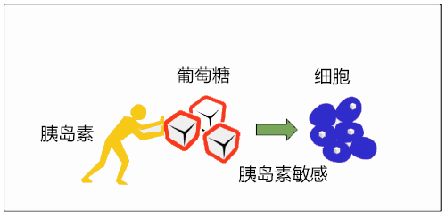 腰腹肥胖因为内脏脂肪多吗,腰腹囤积脂肪原因