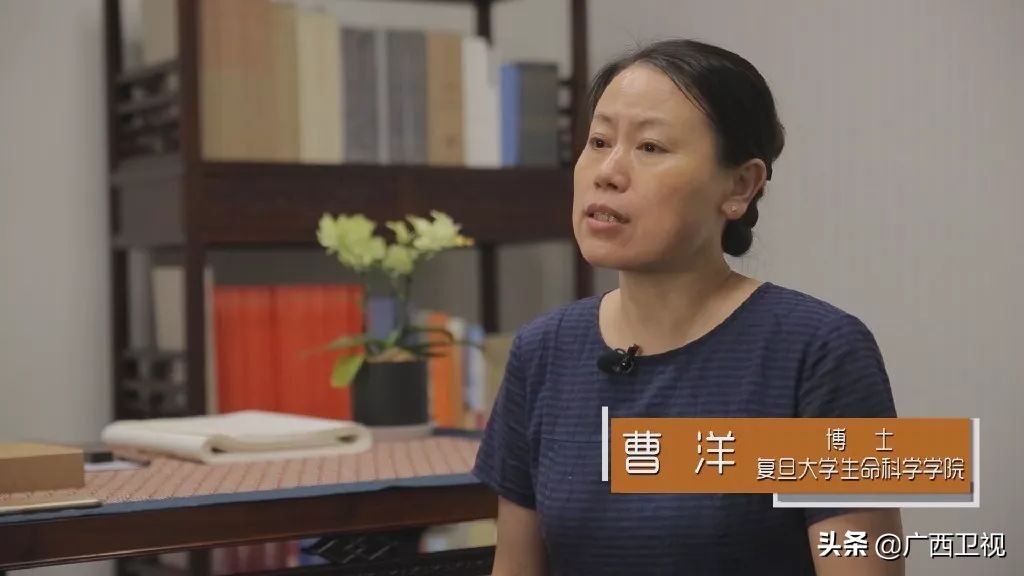 大脑被开发到100有多厉害,最强大脑是怎样炼成的