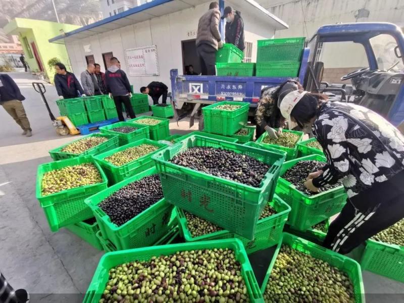 推动数字农业发展依靠哪些技术,数字农业创新应用基地规划方案