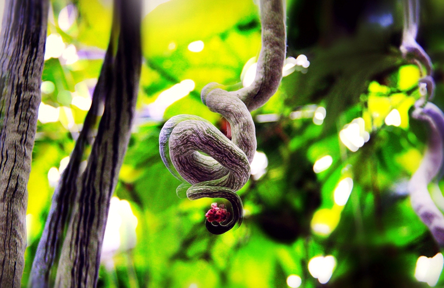 扫落叶的诗句,扫落叶优美诗句