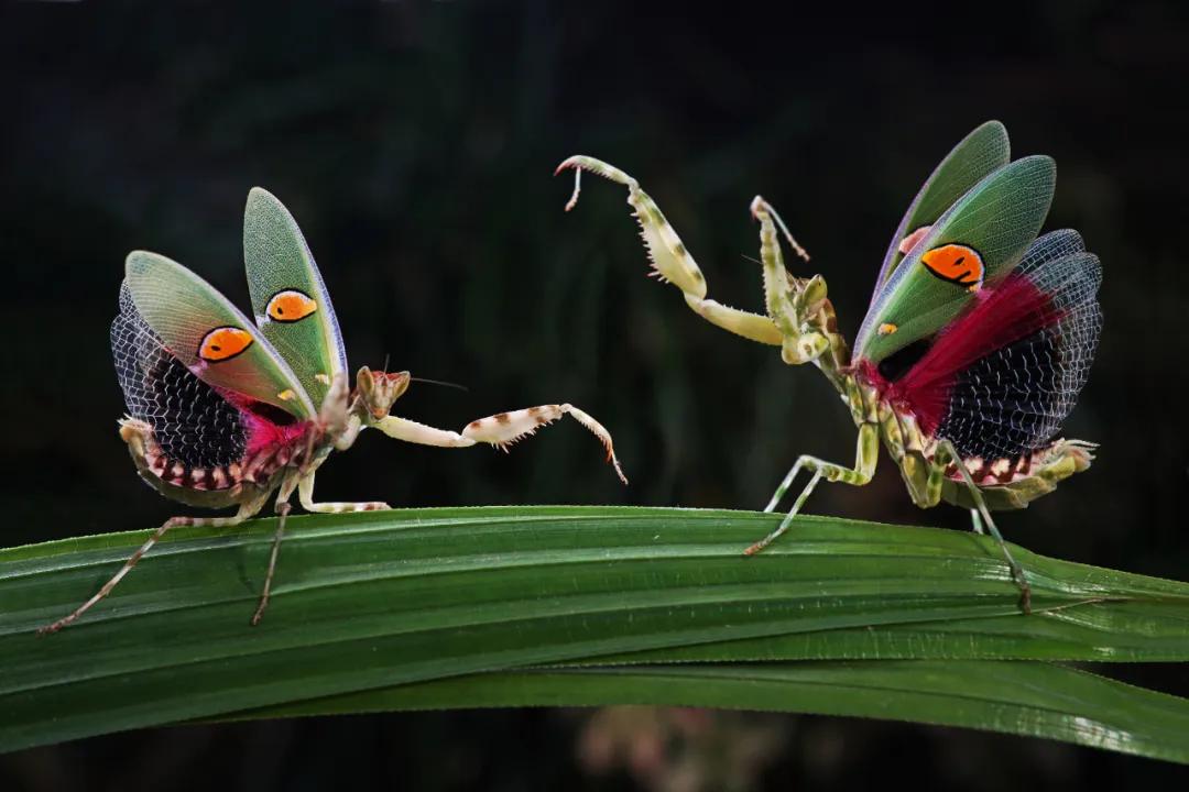 香港第14届全国摄影艺术展,第29届全国摄影艺术展览获奖名单