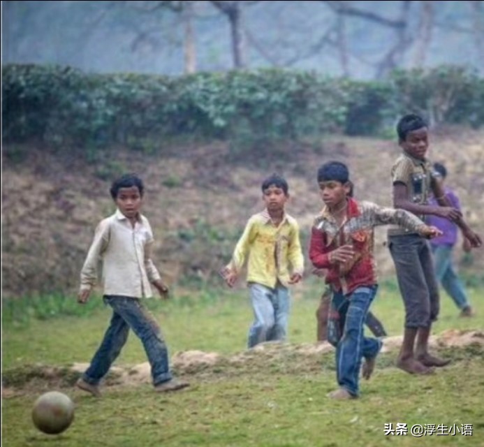 给中国足协陈主席一封信:不惜代价豪赌世界杯是急功近利舍本逐末